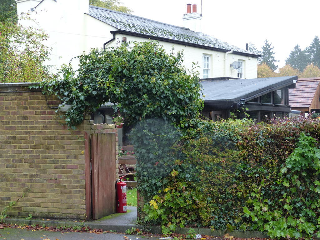 The Sun Inn Englefield Green Εξωτερικό φωτογραφία
